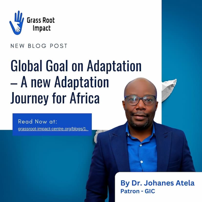 The Global Goal on Adaptation -- Turning Global Ambition Into Action